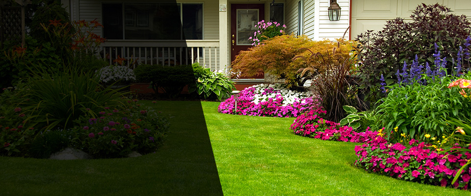 Edinburgh Landscapers