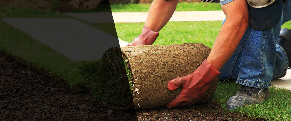 Edinburgh Landscapers